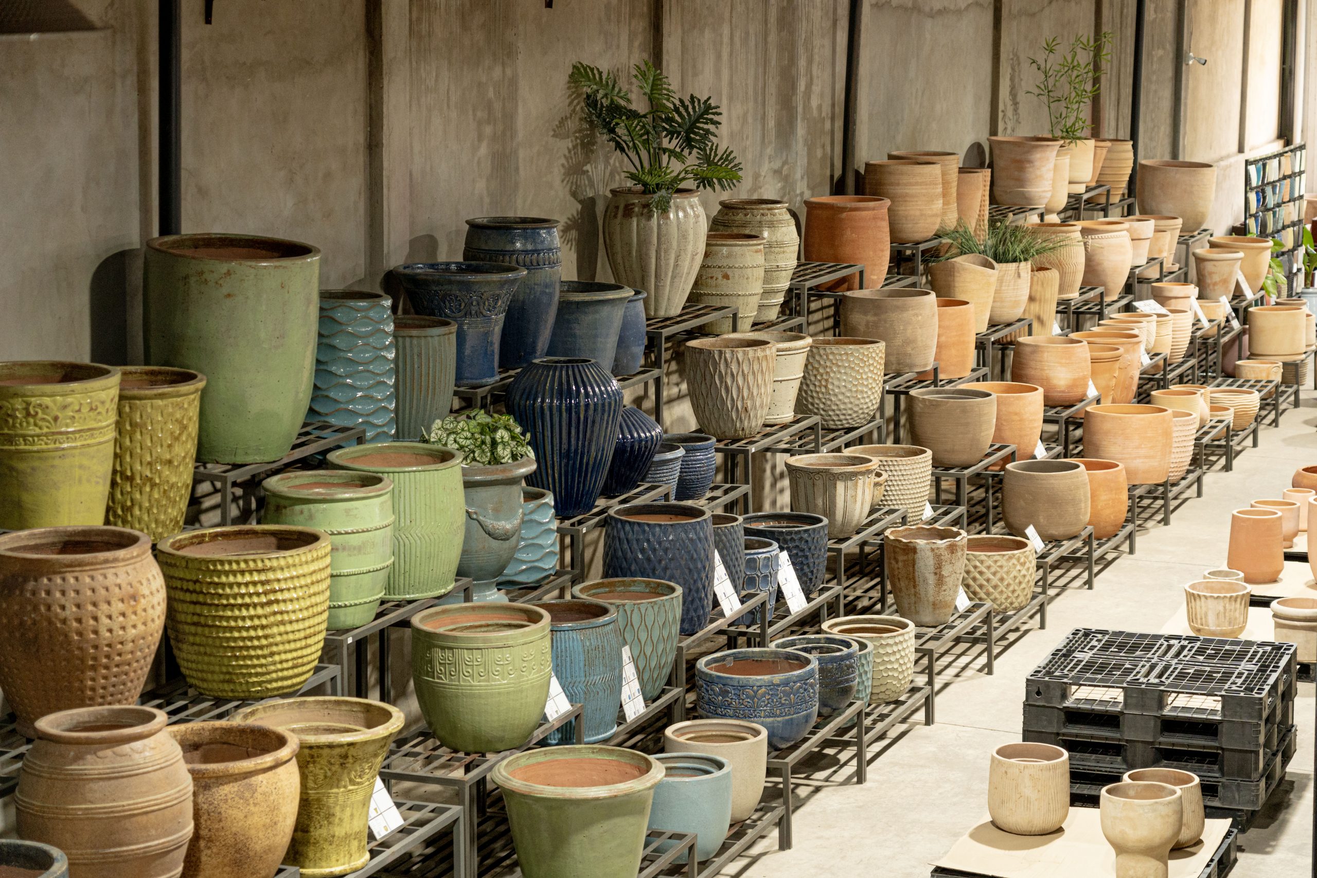Warehouse & Showroom 4