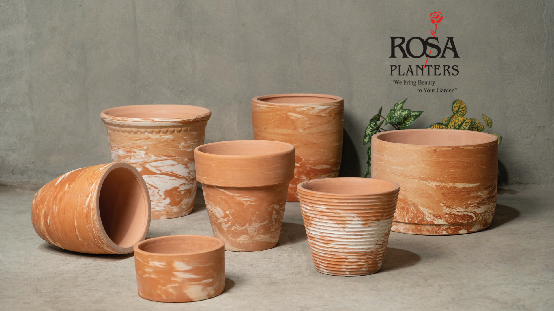 The Complete Guide to Different Types of Plant Pots