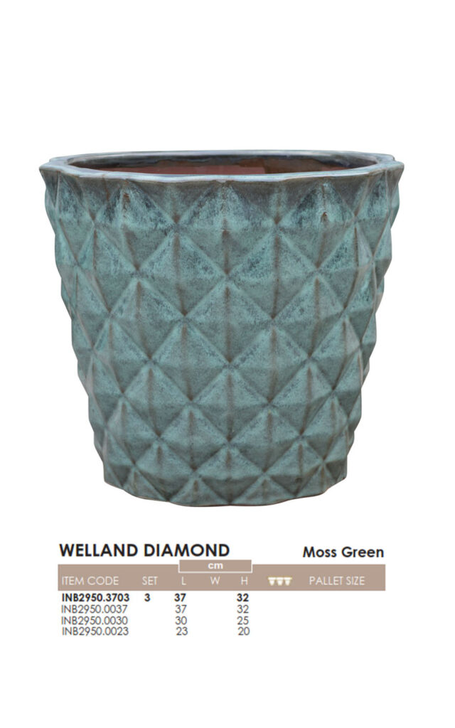 WELLAND DIAMOND ROSA PLANTERS VIETNAM CO., LTD
