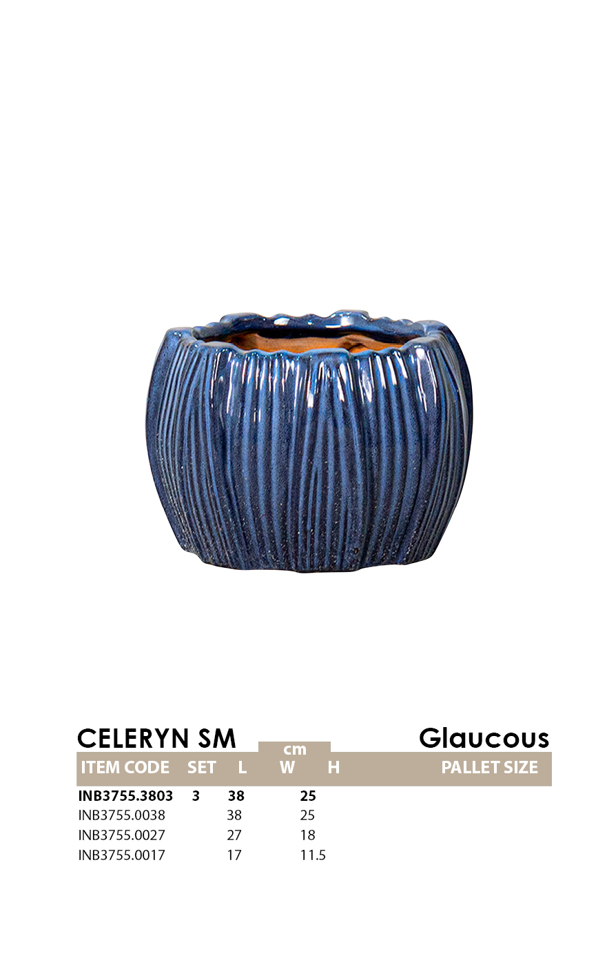 CELERYN SM