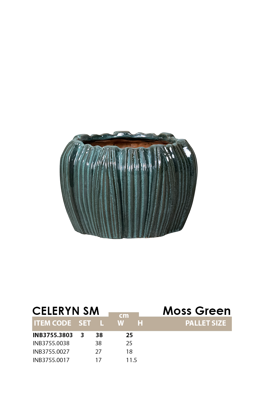 CELERYN SM