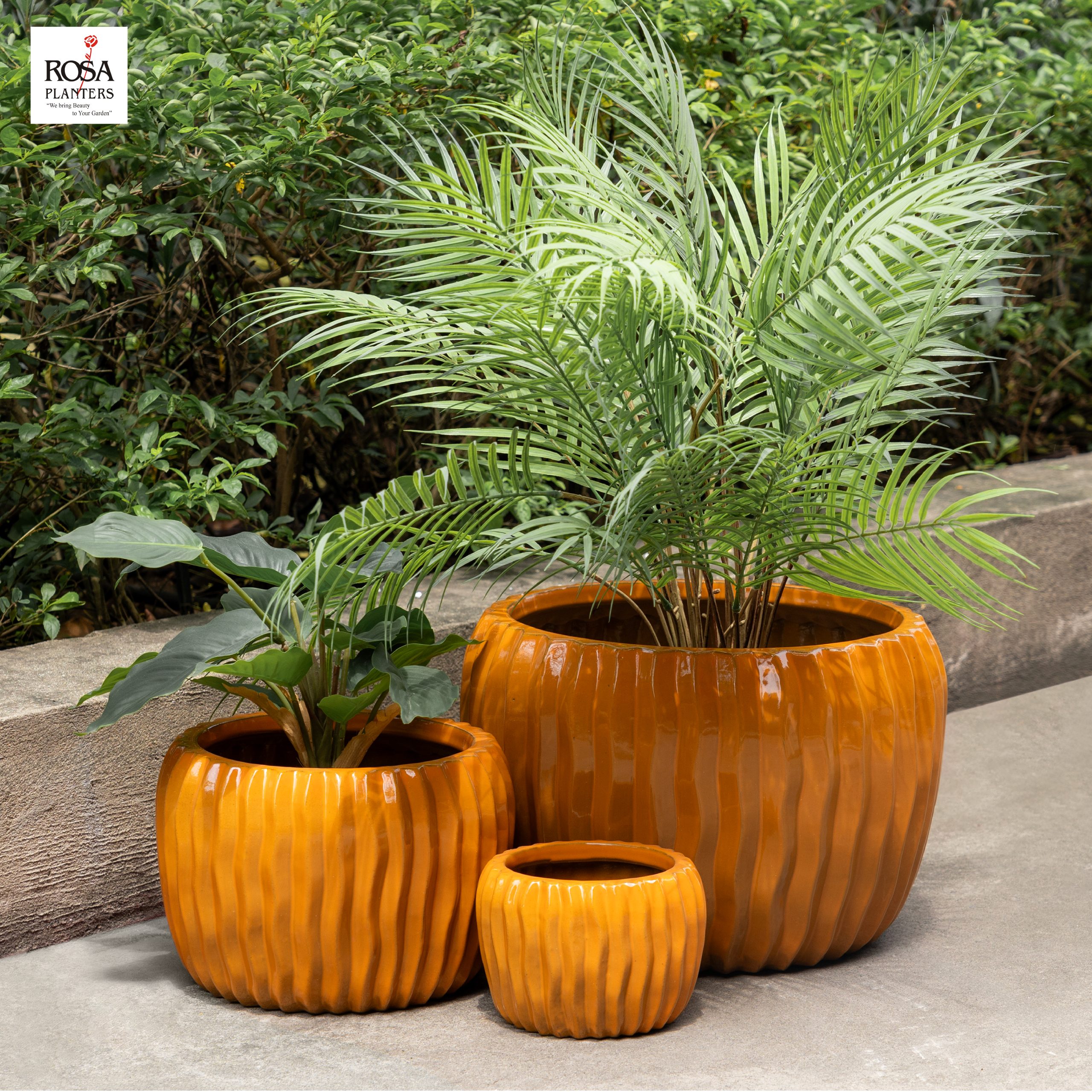 Custom-designed glazed indoor planter set