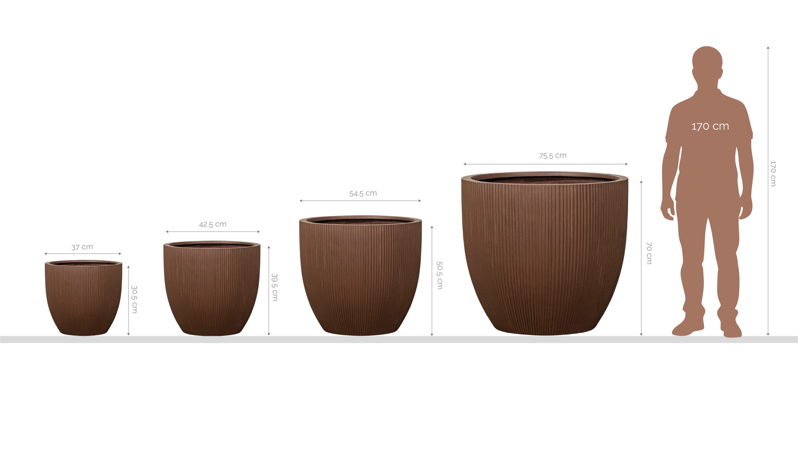 Standard plant pot sizes guide at Rosa