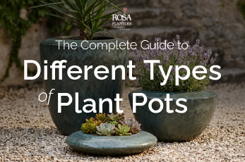 The Complete Guide to Different Types of Plant Pots