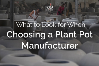 What to Look for When Choosing a Plant Pot Manufacturer?