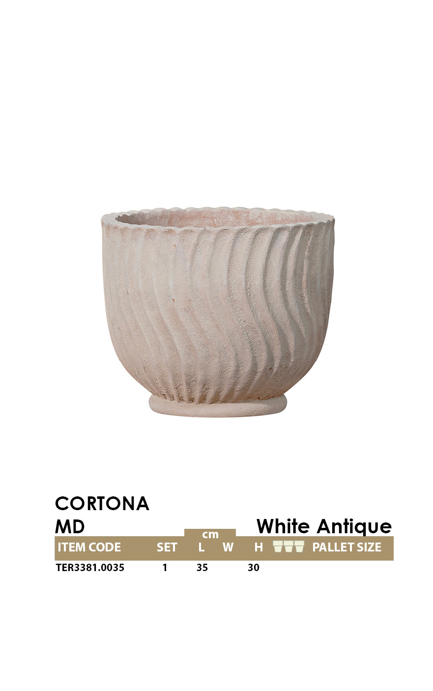 CORTONA MD