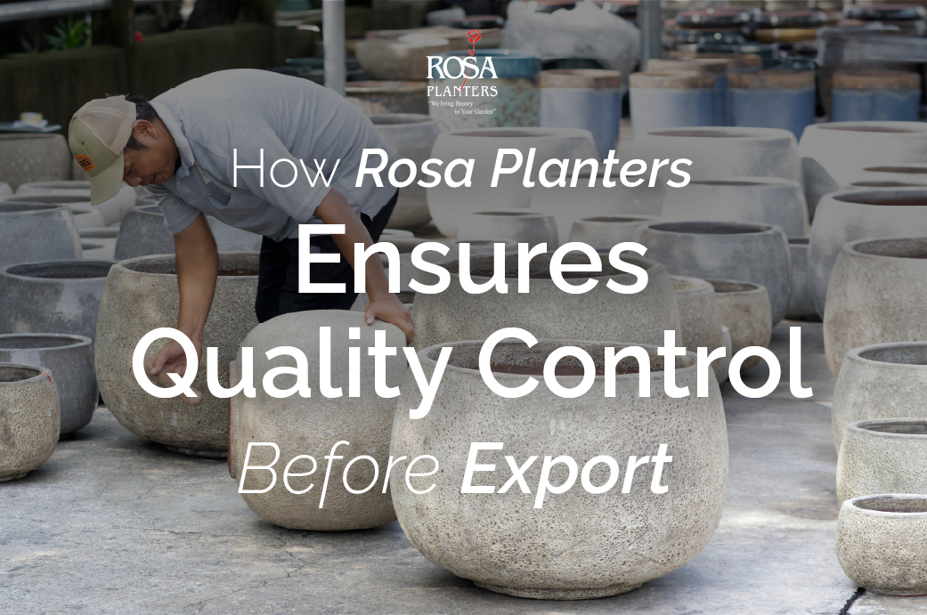 How Rosa Planters Ensures Quality Control Before Export
