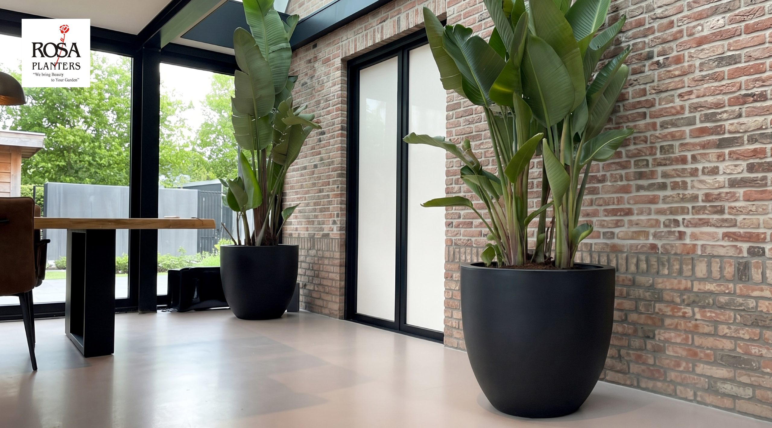 Two large black round polystone planters with tall plants in a modern interior with a brick wall