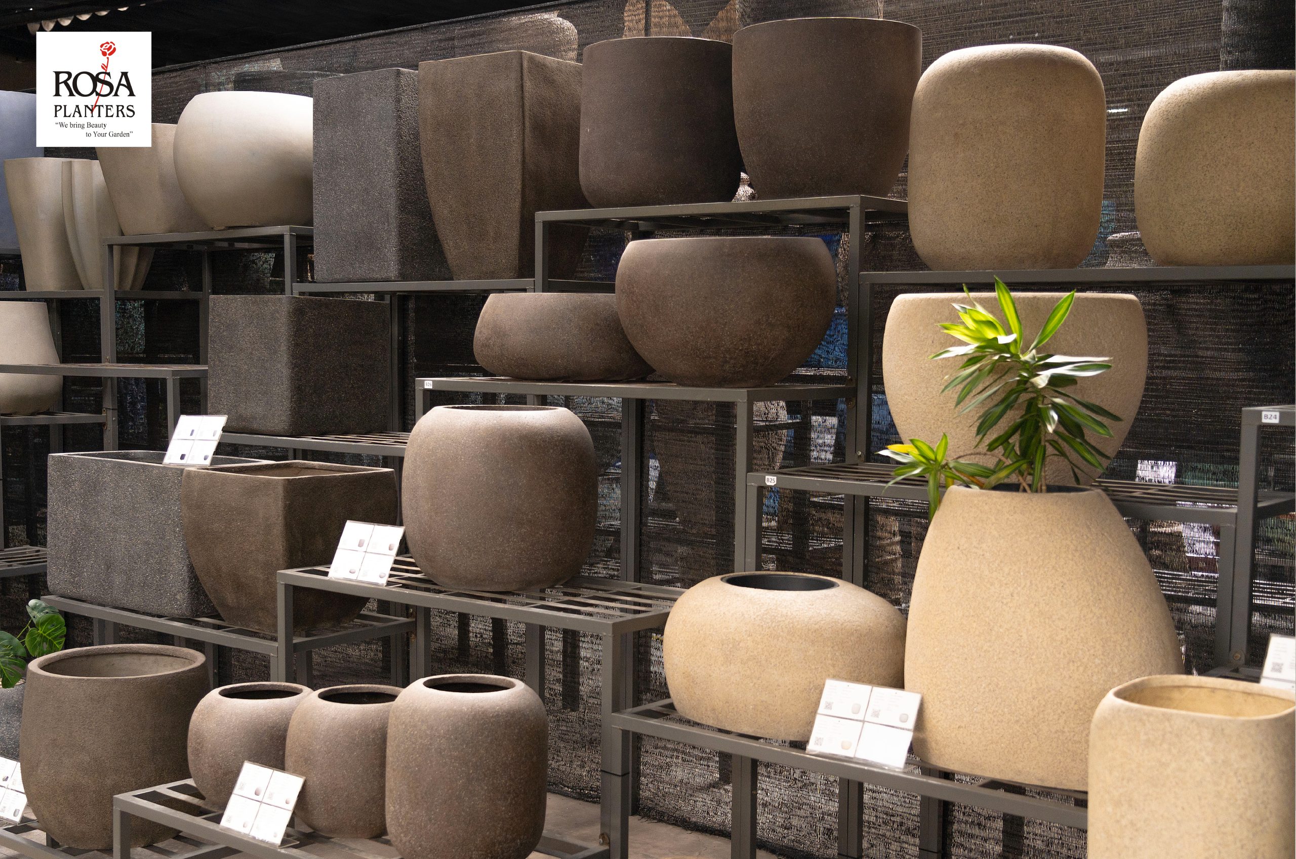 Polystone planters on display shelves in Rosa's showroom