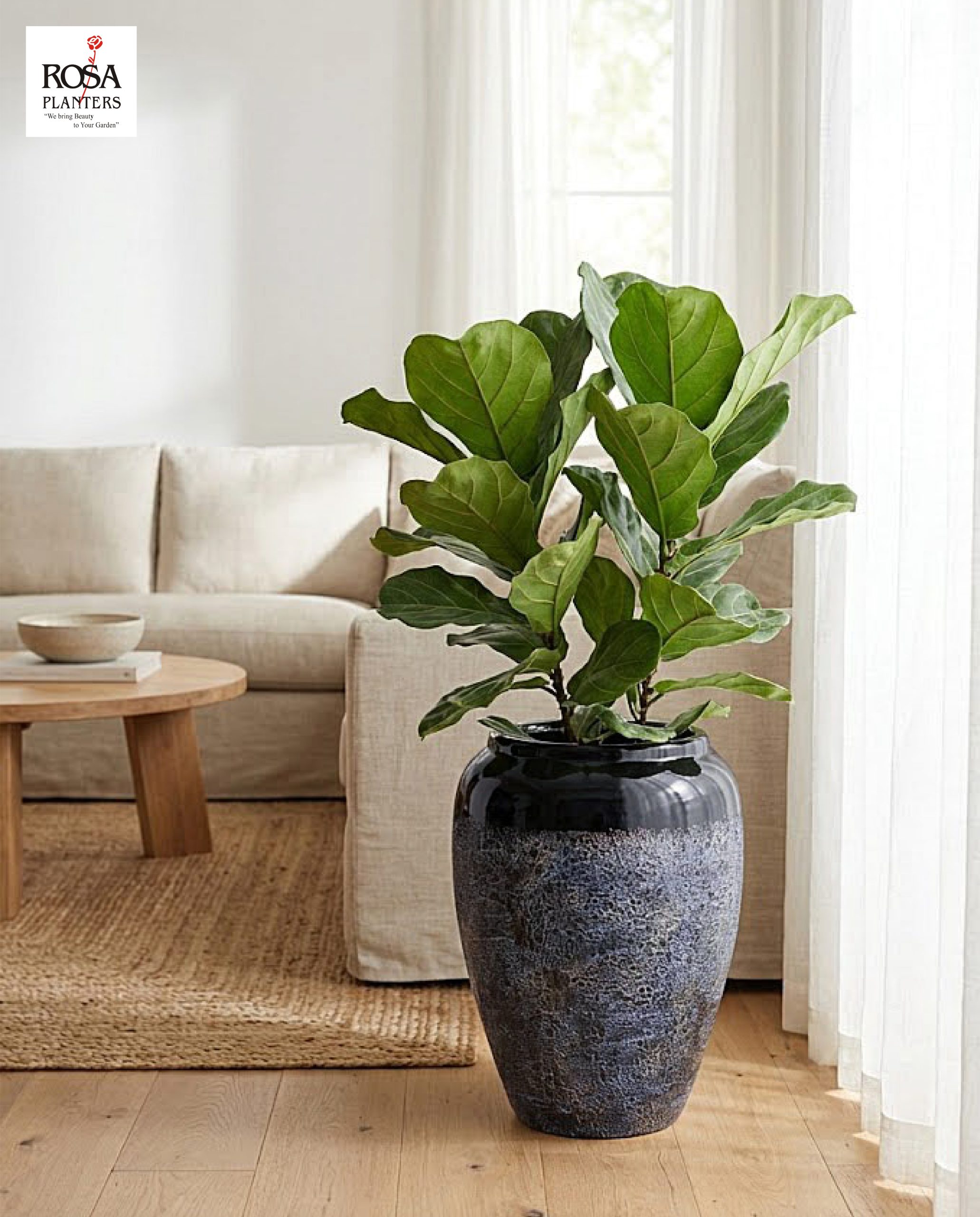 Polystone planter placed indoors in a home